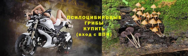 хмурый Каменск-Шахтинский