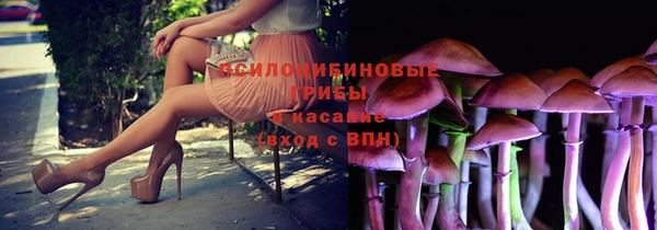 jwh Каменка
